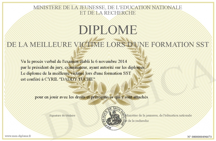 diplome sst